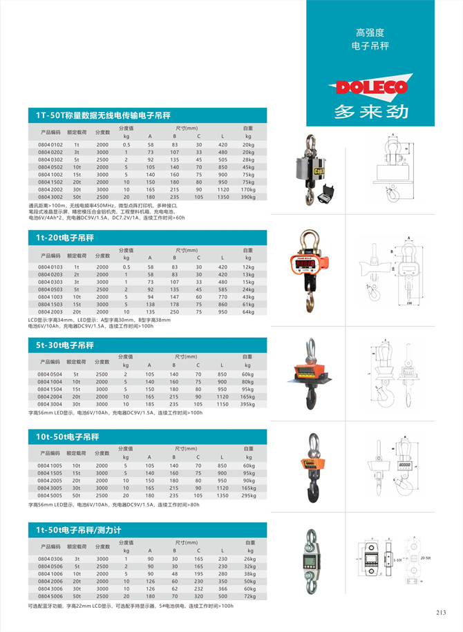 Electronic hanging scales