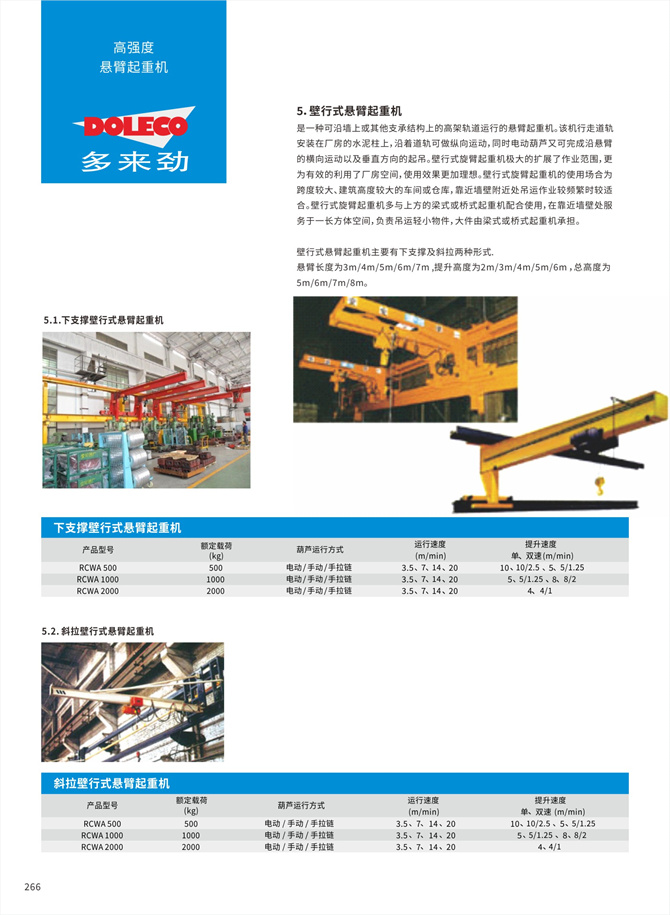 Wall-mounted cantilever cranes